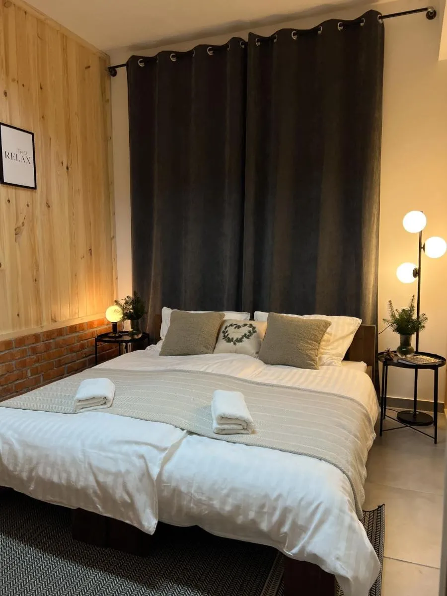 Image 4 of Apartament MT Badger Centrum