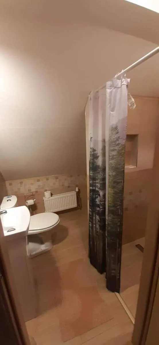 Image 4 of Apartament pod lasem