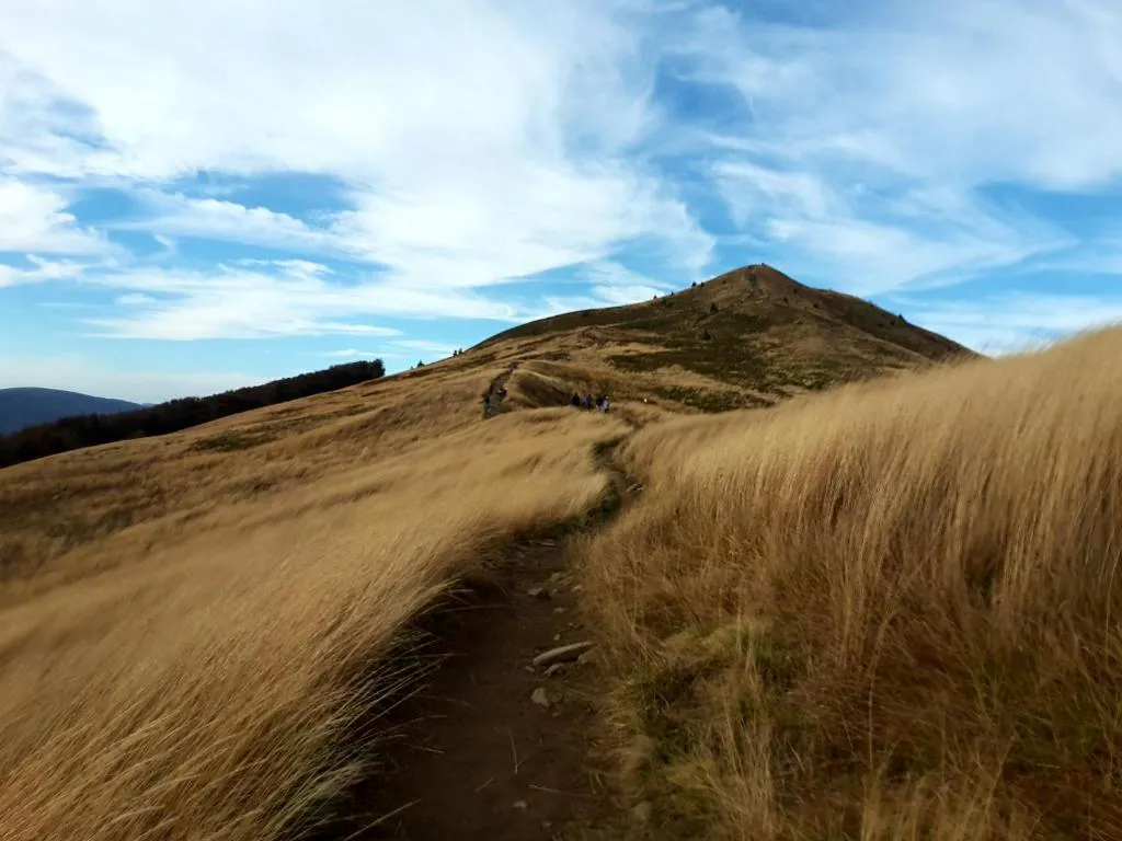 Image 1 of Baza w Bieszczady