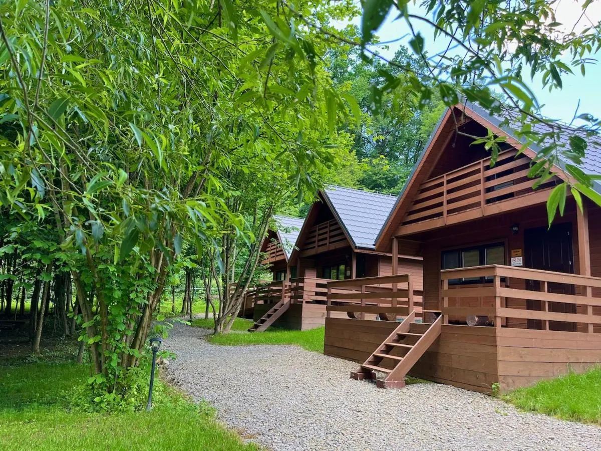 Image 4 of Bieszczady Kameralnie