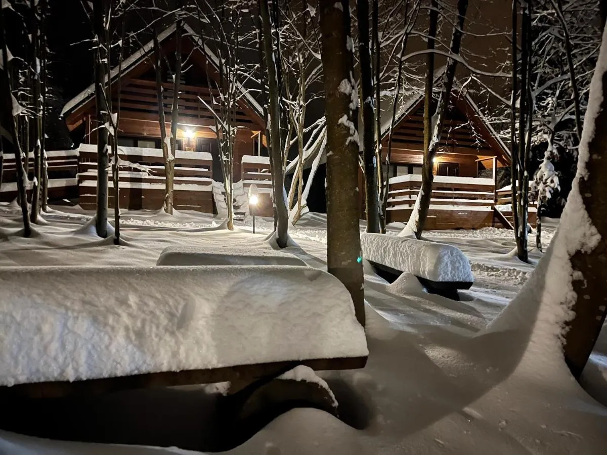 Image 5 of Bieszczady Kameralnie
