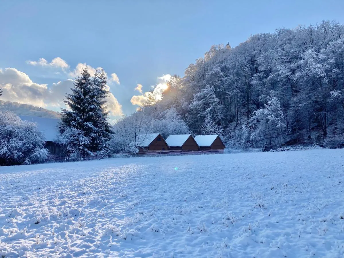 Image 7 of Bieszczady Kameralnie