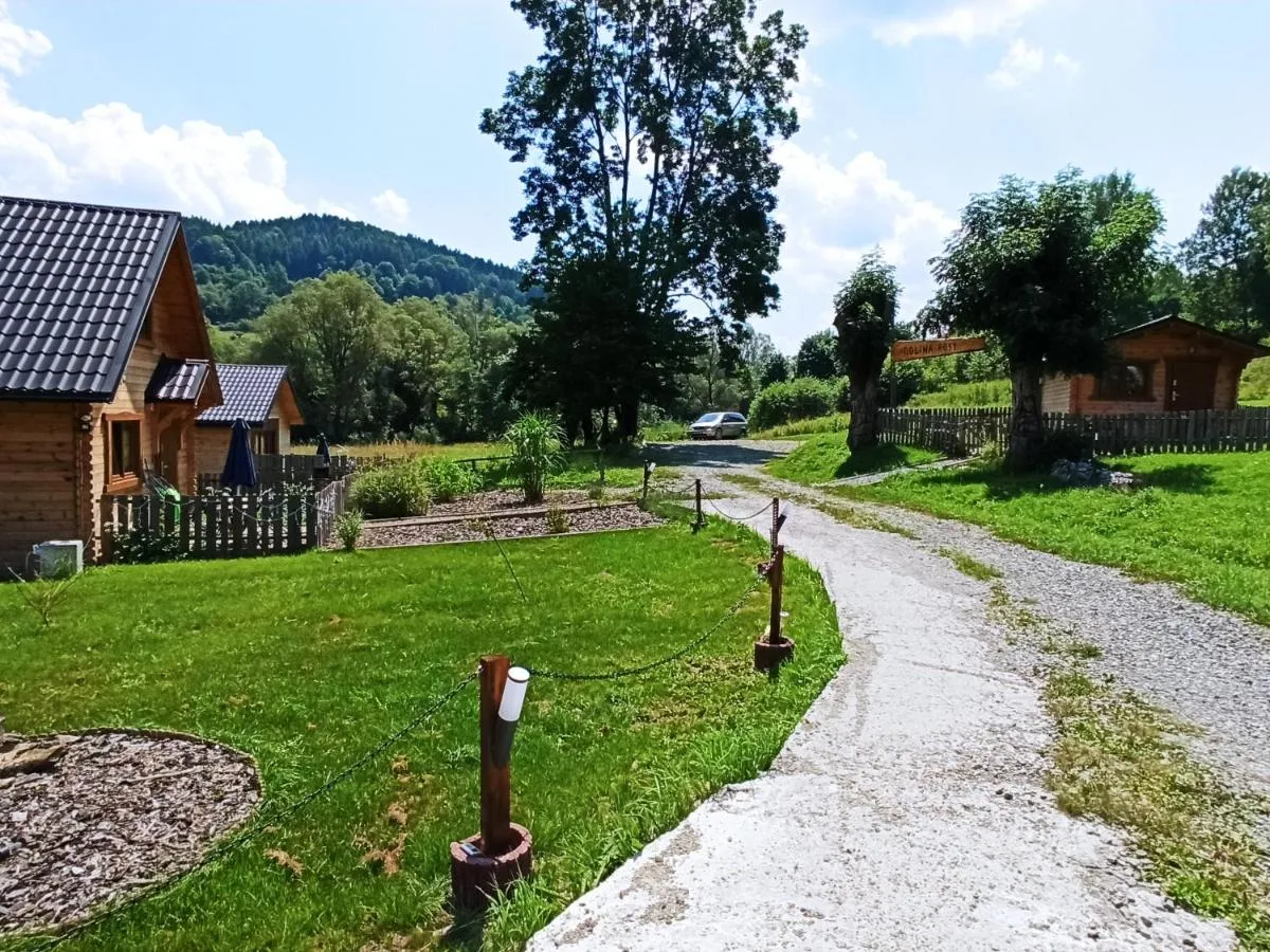 Image 6 of Dolina Rosy