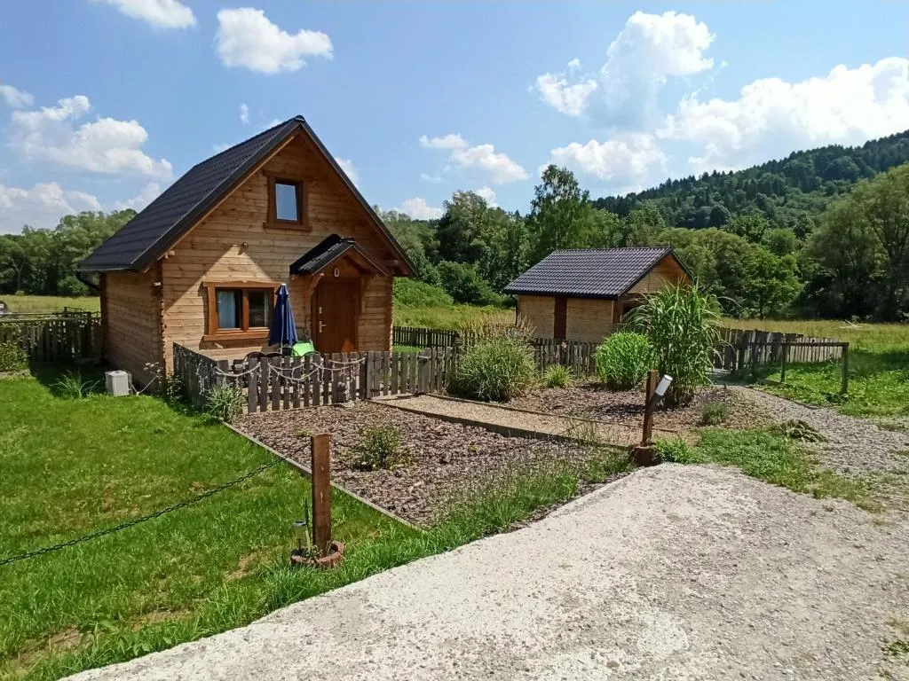 Image 1 of Dolina Rosy