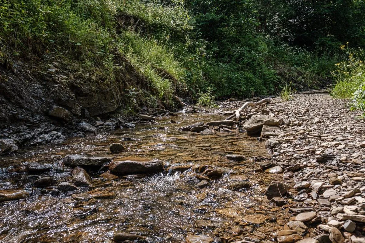 Image 6 of Dom Malowany – Domki