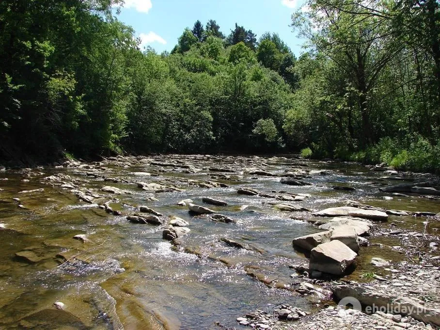 Image 6 of Domek Rodzynek