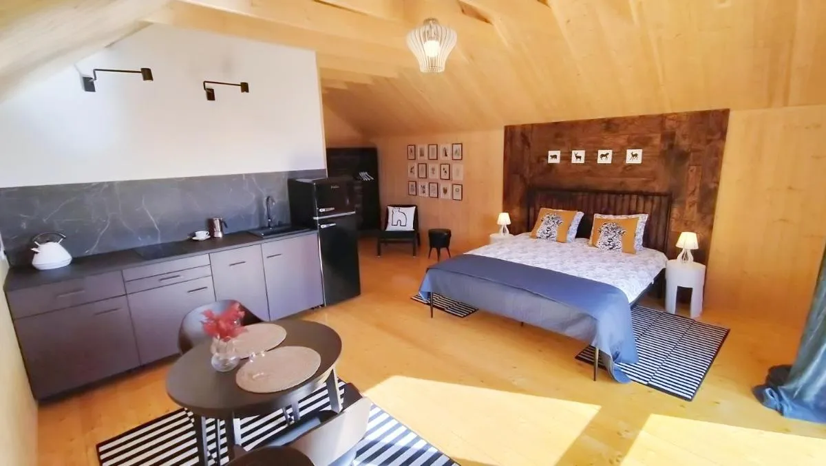 Image 7 of Dzikie Lisko – Apartament z klimatyzacją