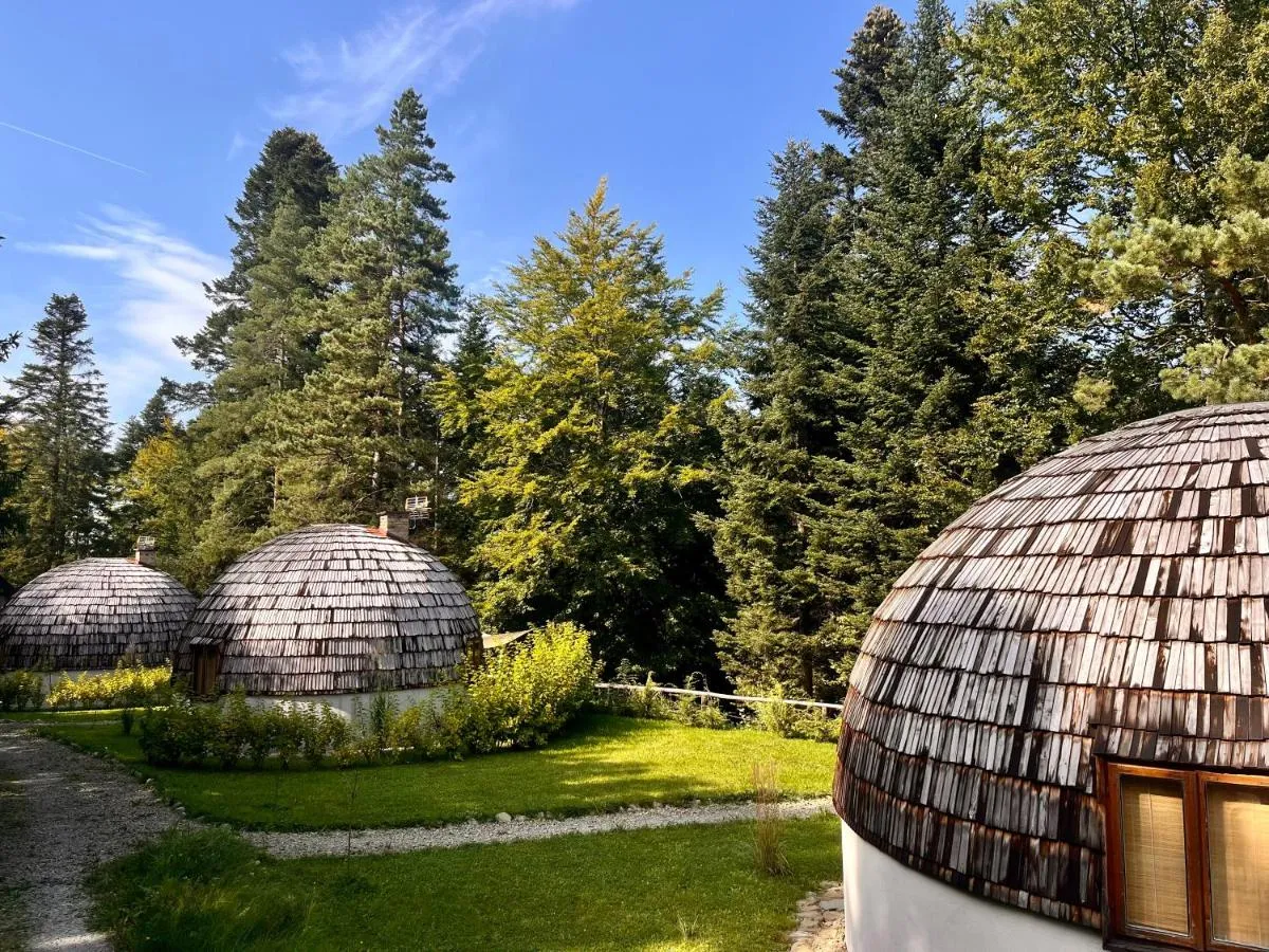 Image 2 of GRASÓWKA