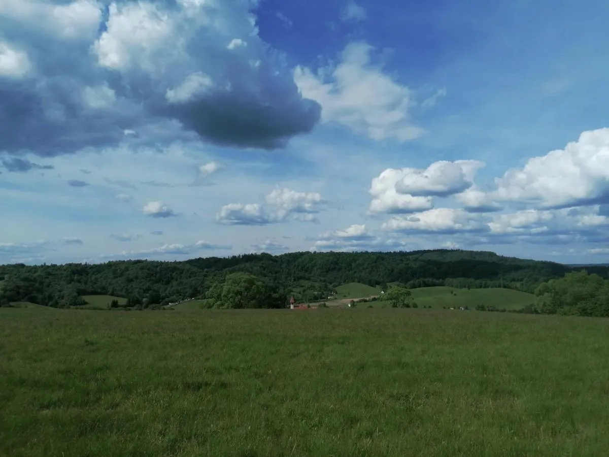 Image 3 of Lisi Zakątek