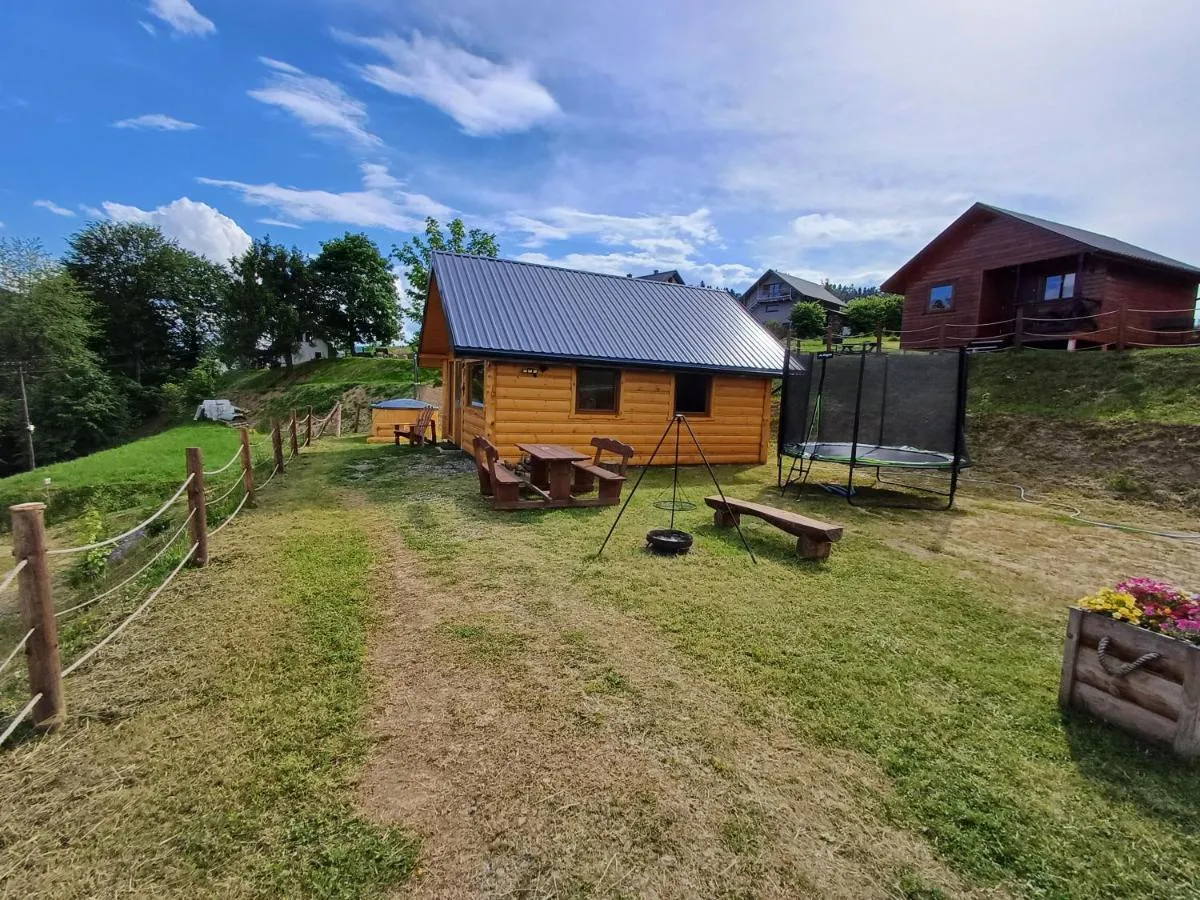 Image 3 of Przystanek Jawory 695-849-470