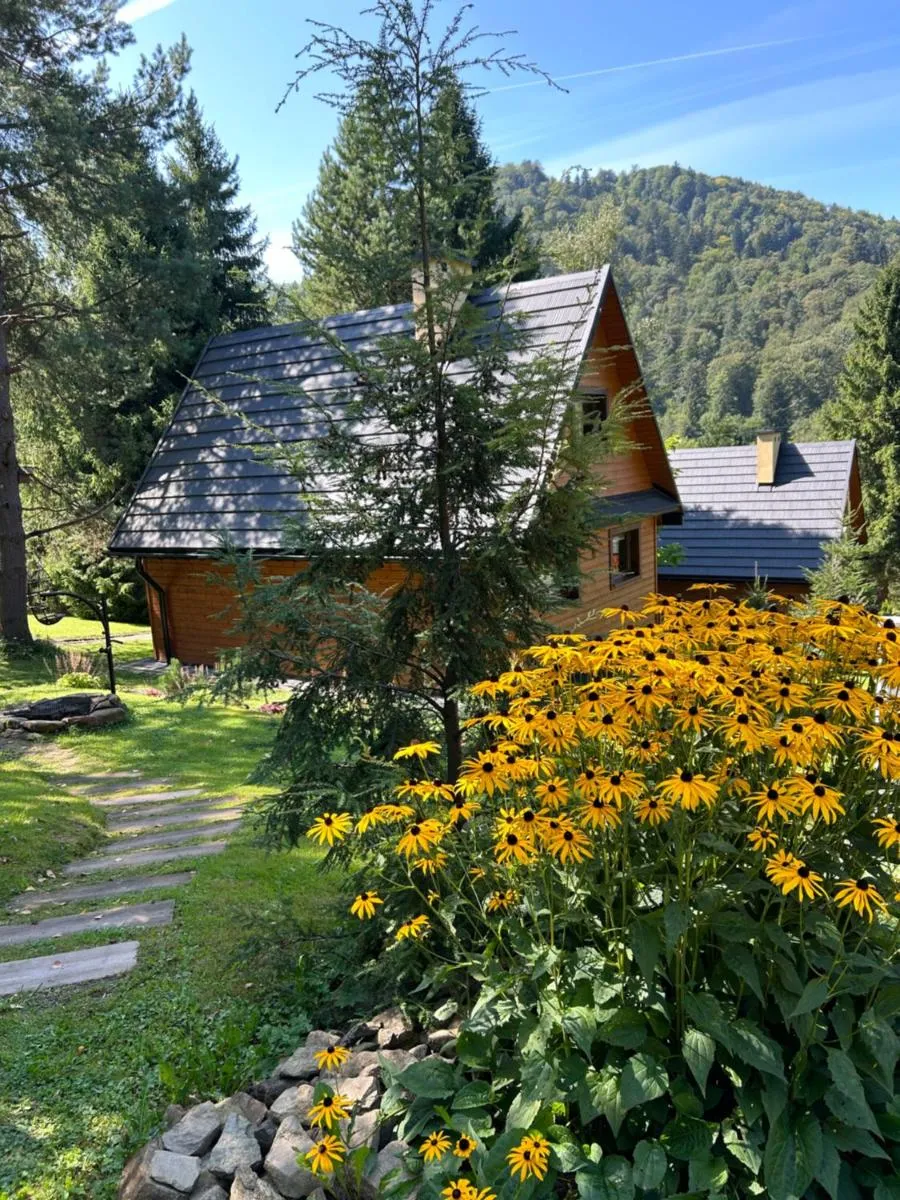 Image 6 of Reset Bieszczady
