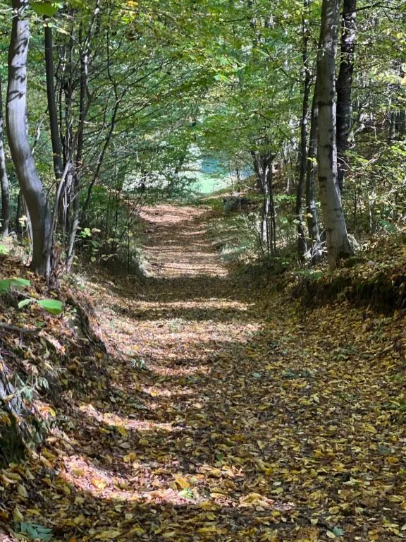 Image 1 of Siedlisko Wyżne