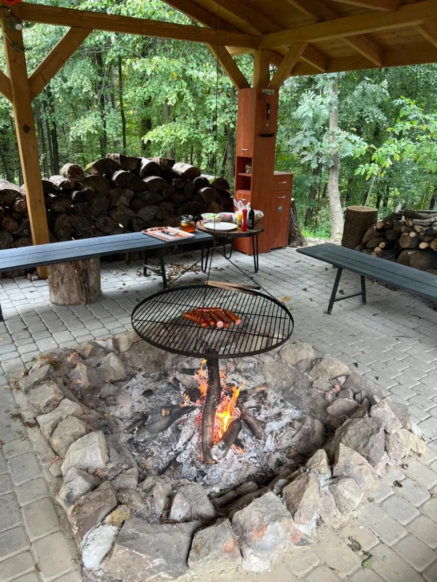 Image 5 of Siedlisko Wyżne