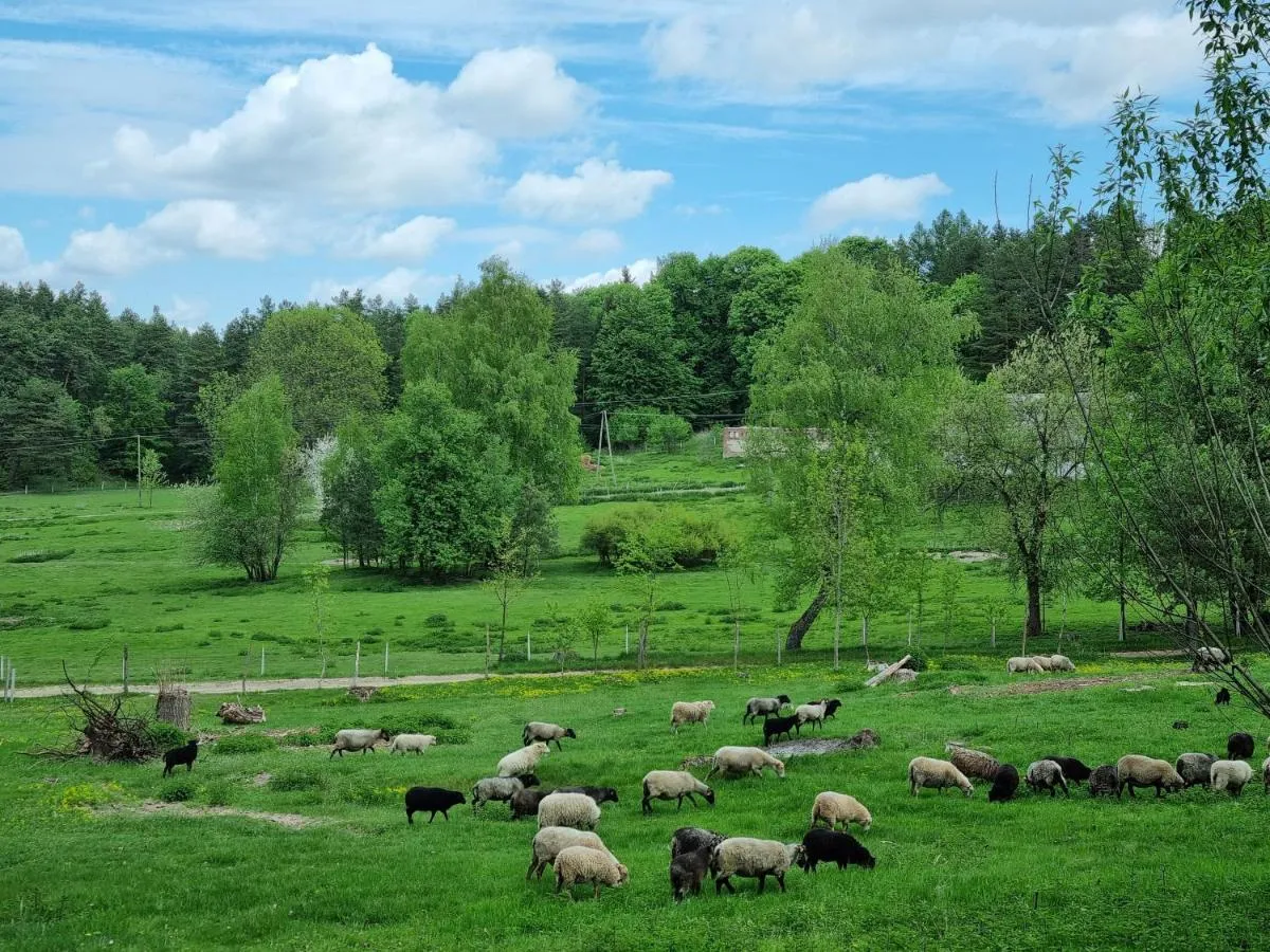 Image 6 of Stara Huta Wielki Dział