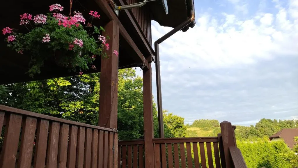 Image 1 of Wielgosówka