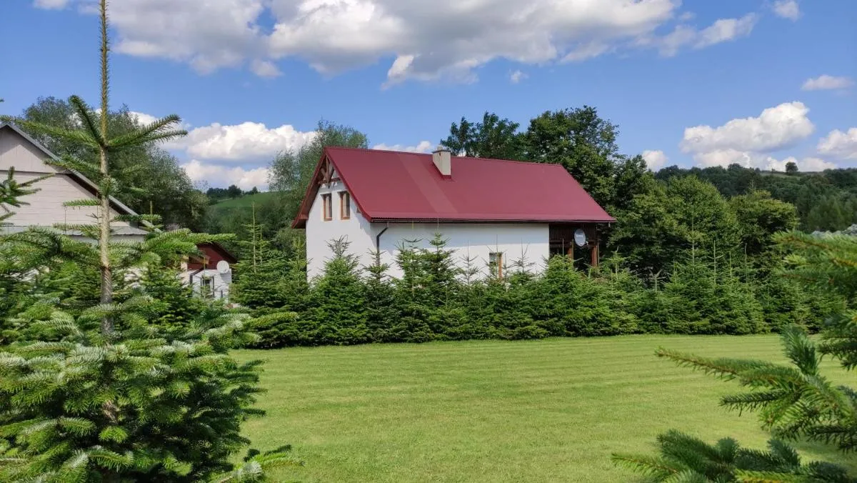 Image 6 of Wielgosówka
