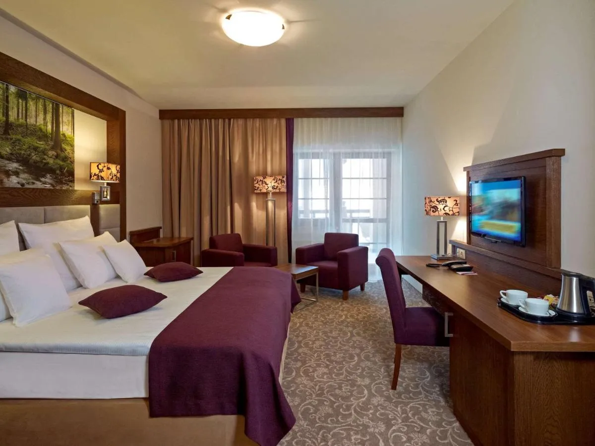 Image 6 of Hotel Mercure Krynica Zdrój Resort&Spa