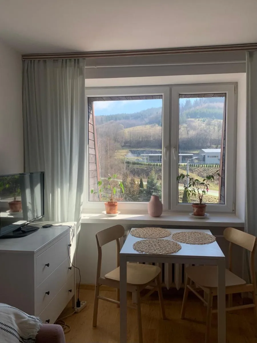 Image 3 of Uroczy apartament w Krynicy Zdrój