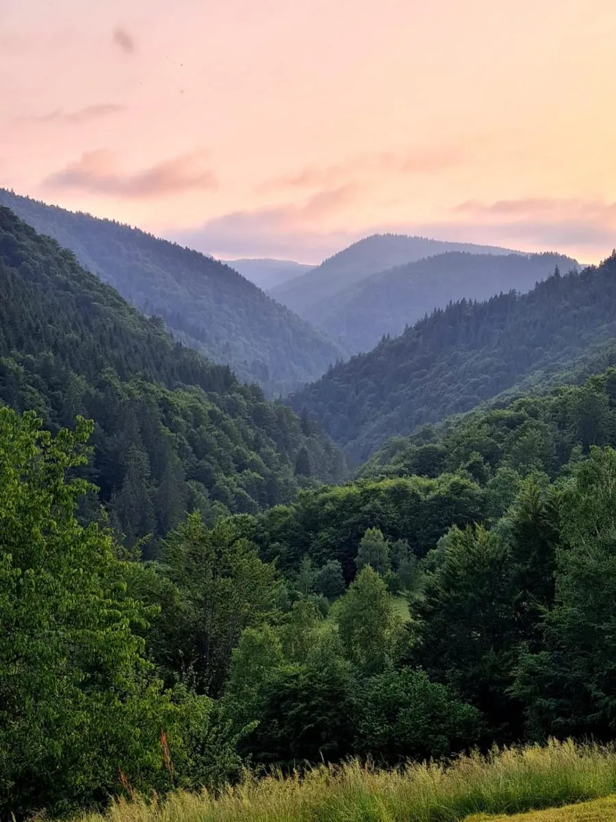 Image 6 of APUSENI HOLIDAYS