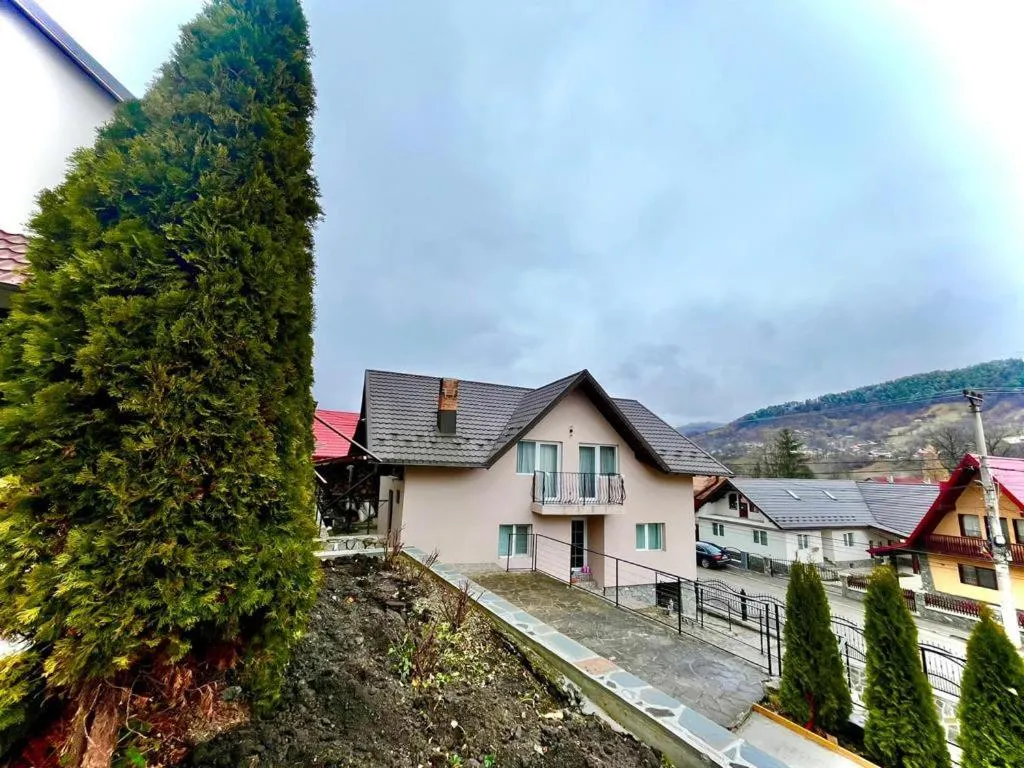 Image 2 of Acasă la Doftana