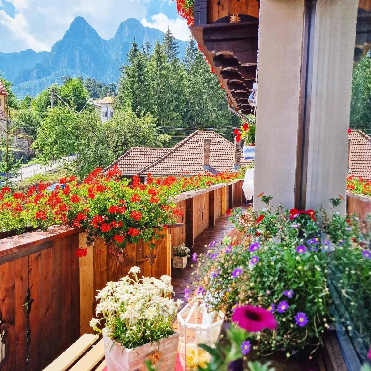 Image 7 of Amor Tirol Bușteni
