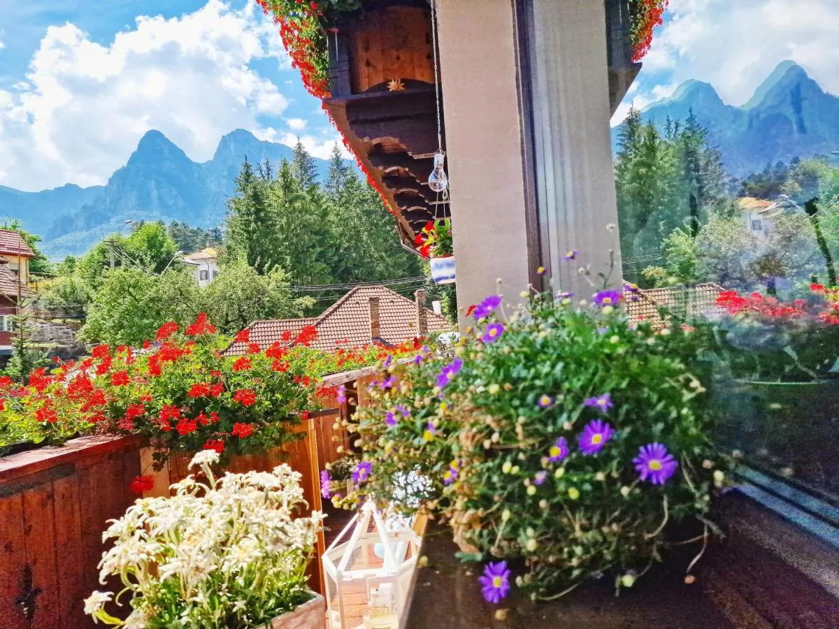 Image 2 of Amor Tirol Bușteni