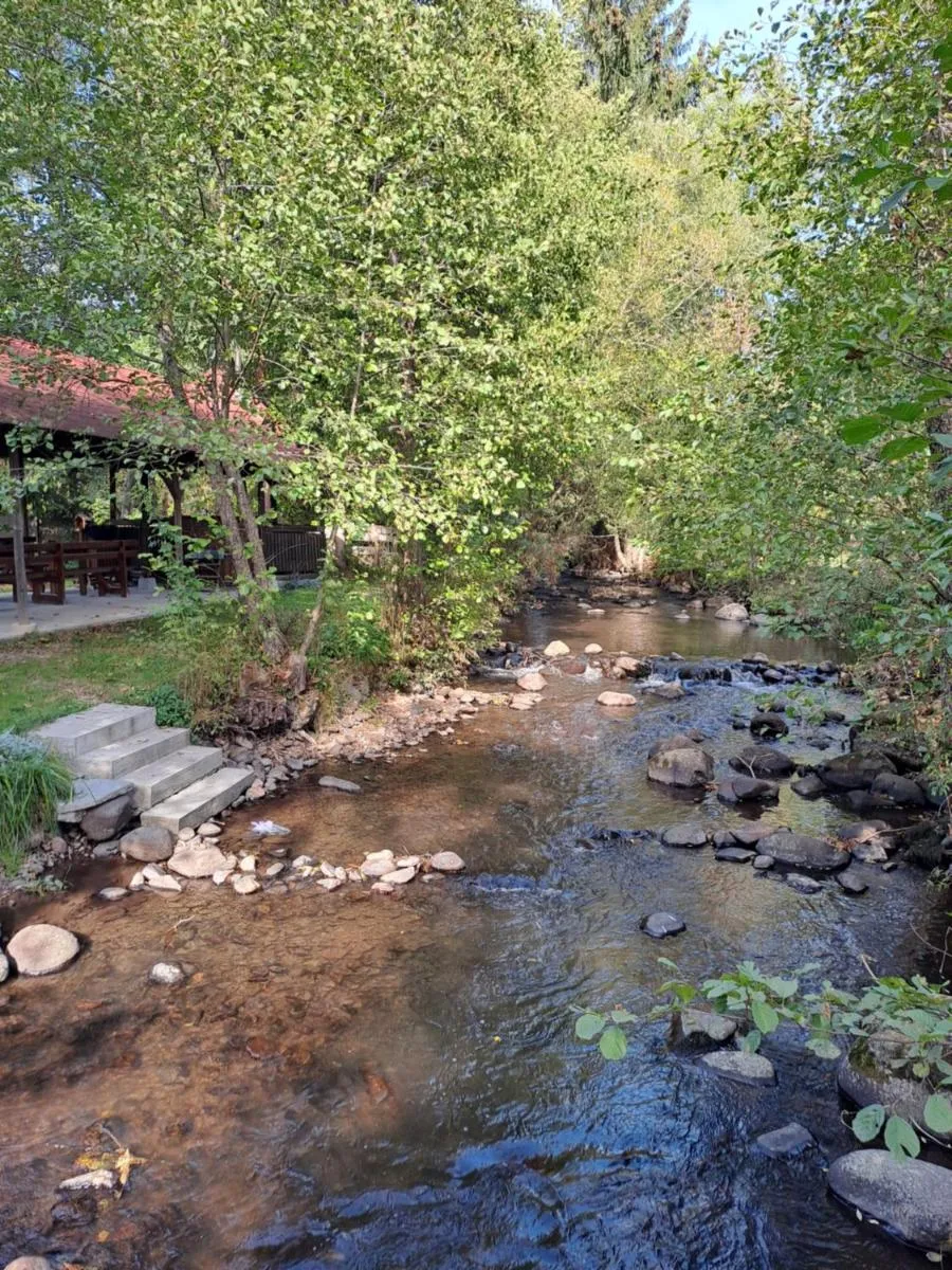 Image 3 of Any Kulcsosház