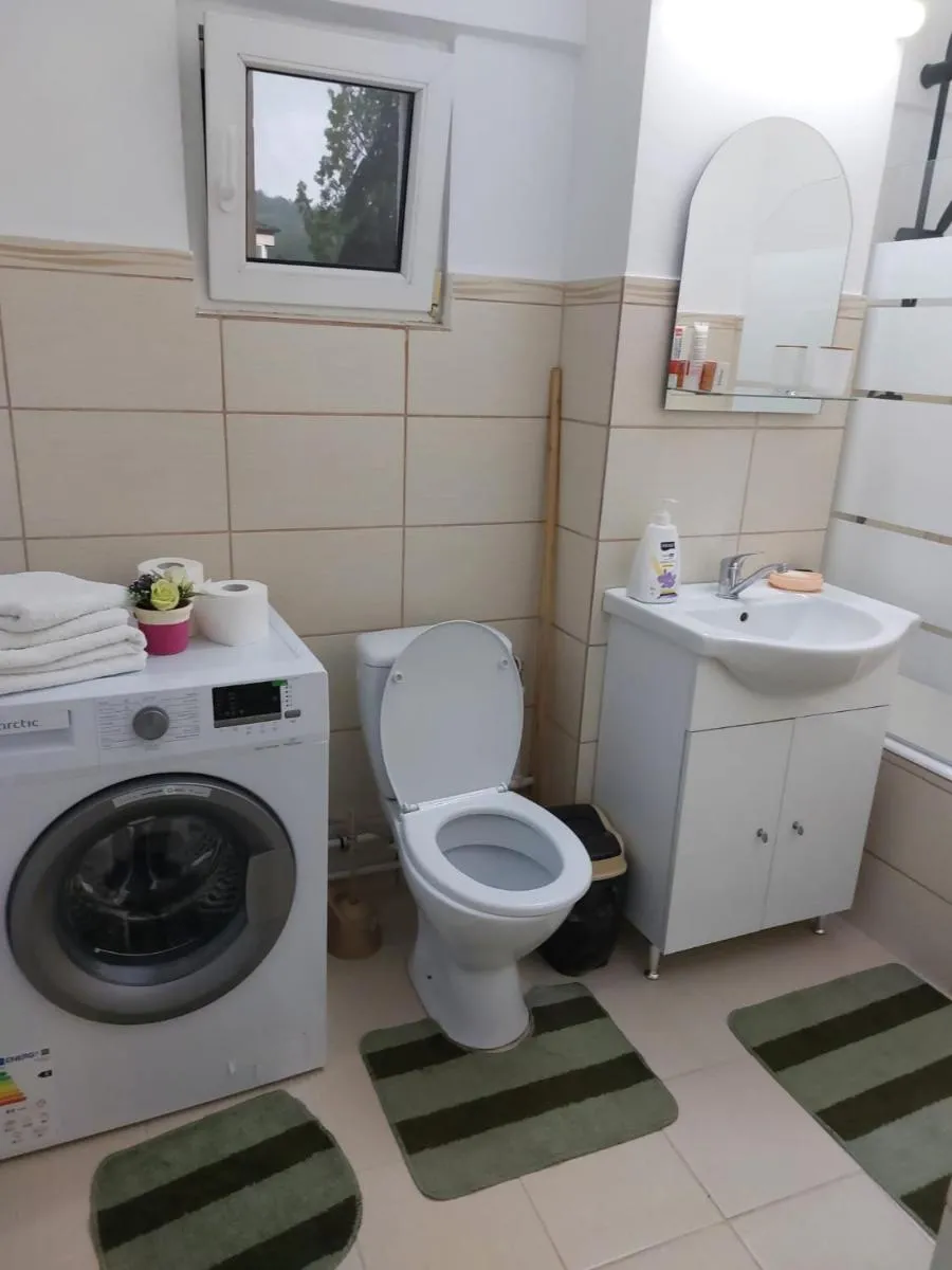 Image 5 of Apartament Ioana