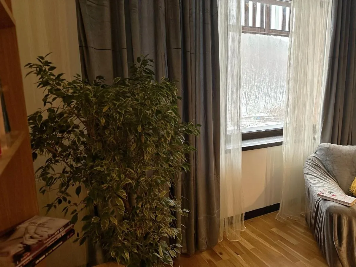 Image 6 of Apartament “La Iepure”