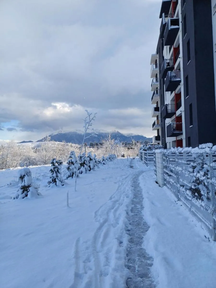 Image 4 of Apartament Ramonte