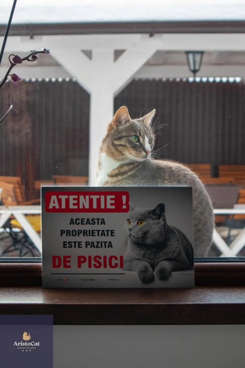 Image 6 of AristoCat Hotels Rasnov