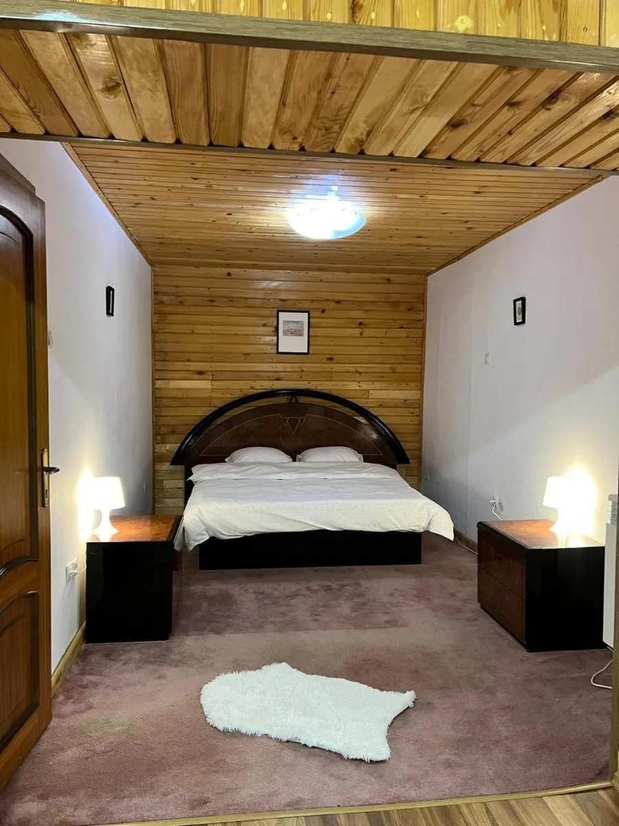 Image 5 of BSG Villa – Sinaia