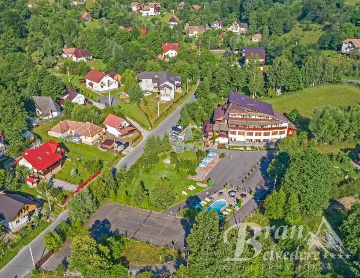 Image 4 of Bran Belvedere International