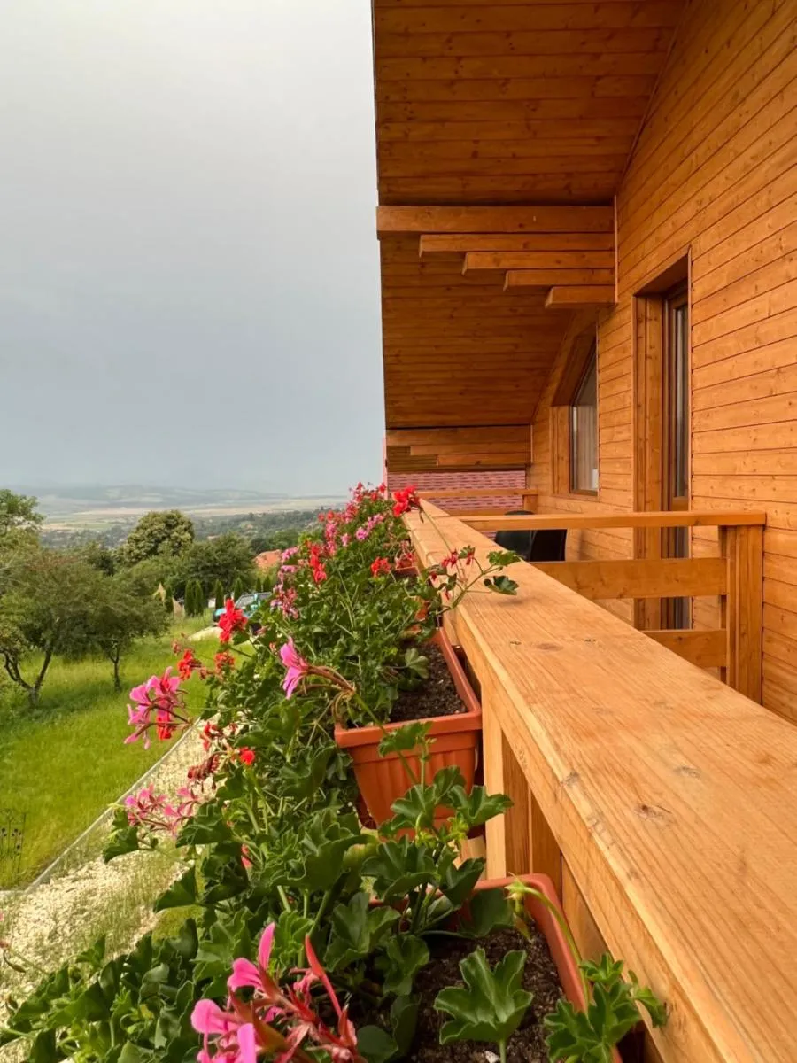 Image 7 of CASA MARA CHALET & SPA Bran