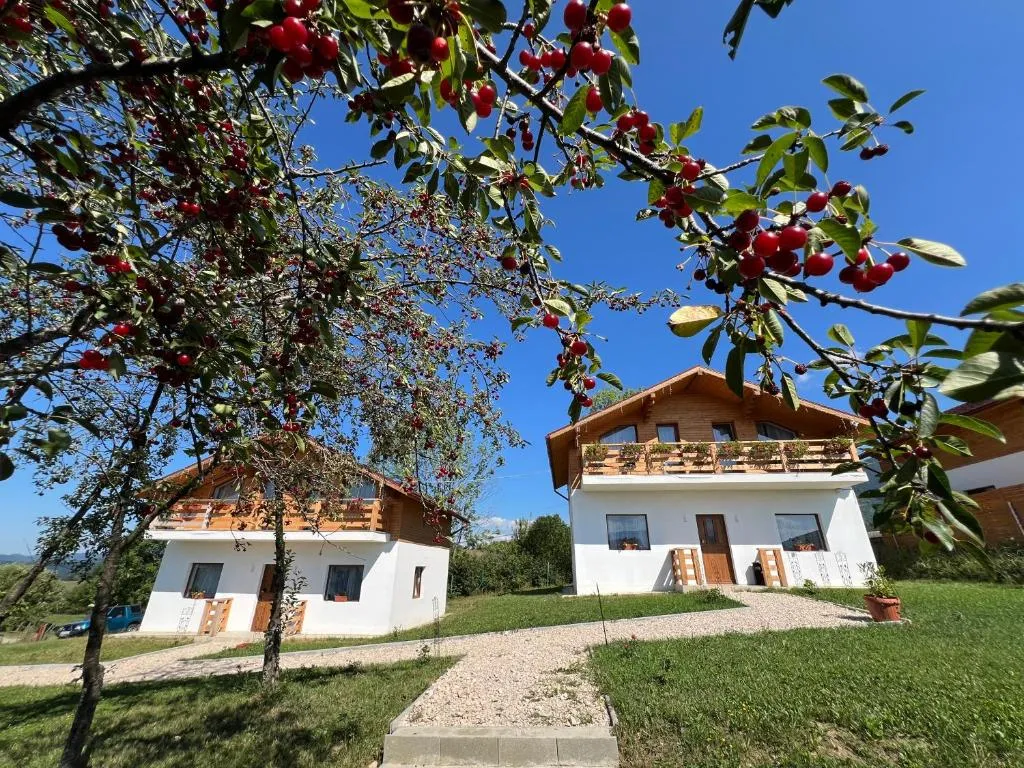 Image 1 of CASA MARA CHALET & SPA Bran