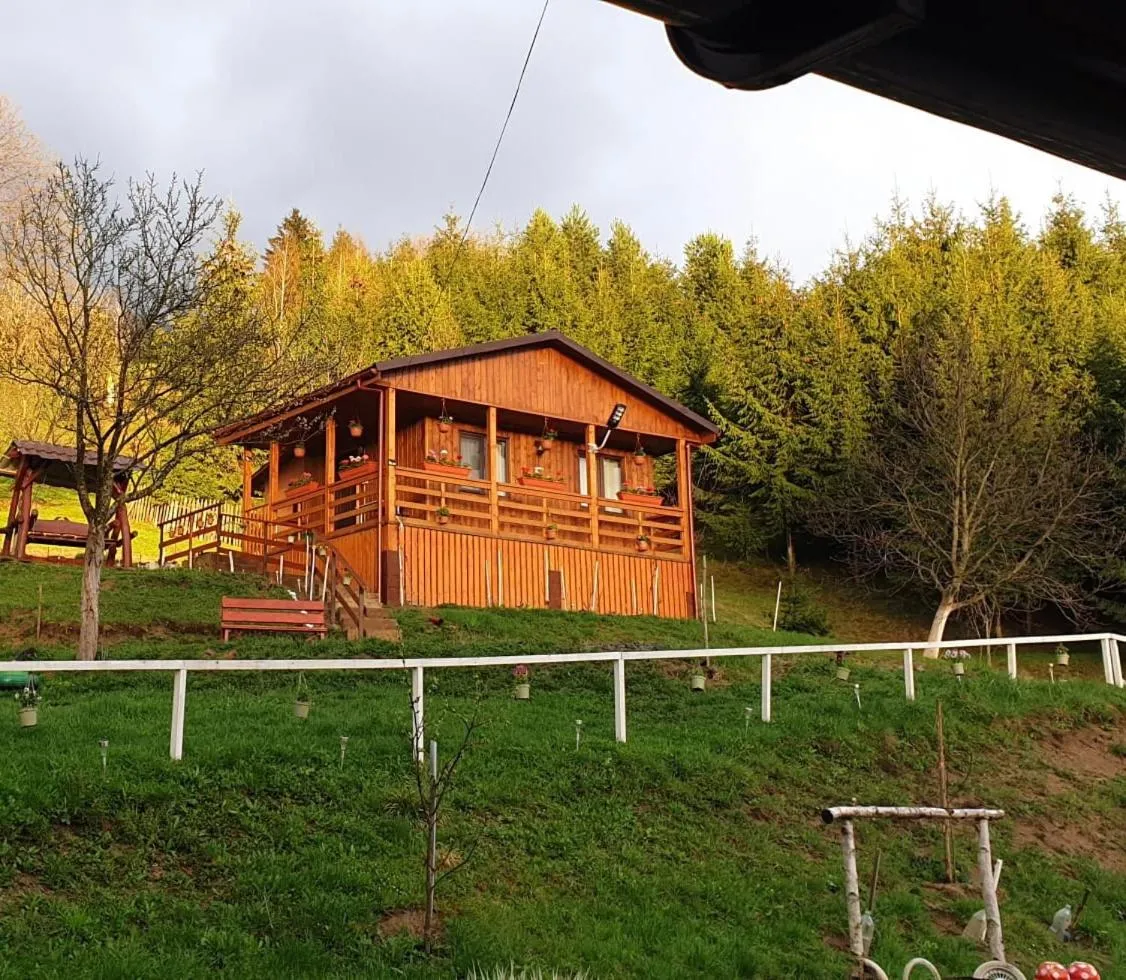 Image 7 of Cabana Anna Colibita