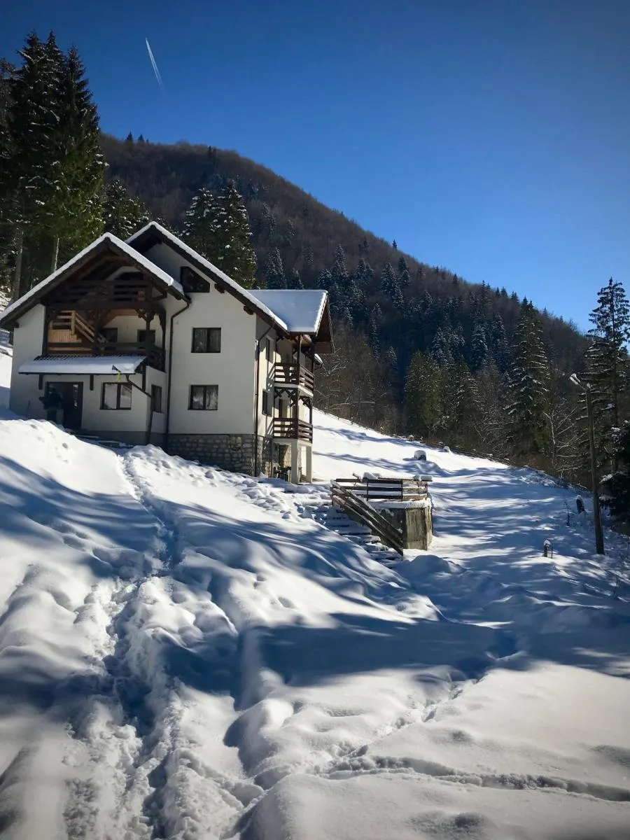 Image 4 of Cabana Caprioara – Piatra Craiului