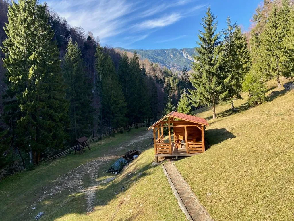 Image 1 of Cabana Caprioara – Piatra Craiului