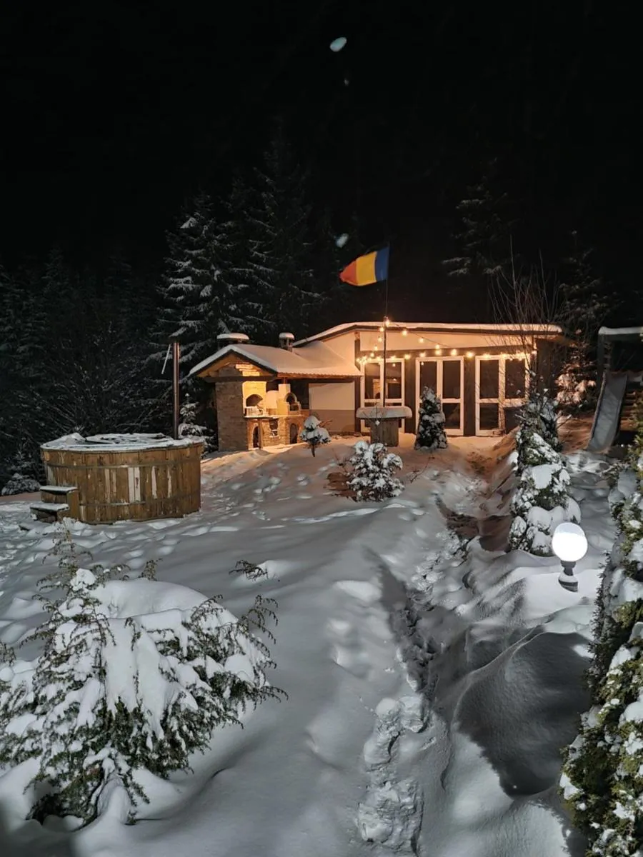 Image 7 of Cabana Căsaru