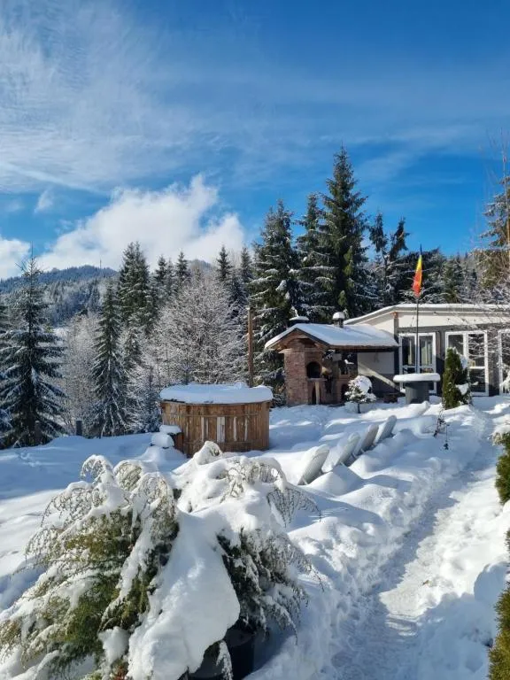 Image 1 of Cabana Căsaru
