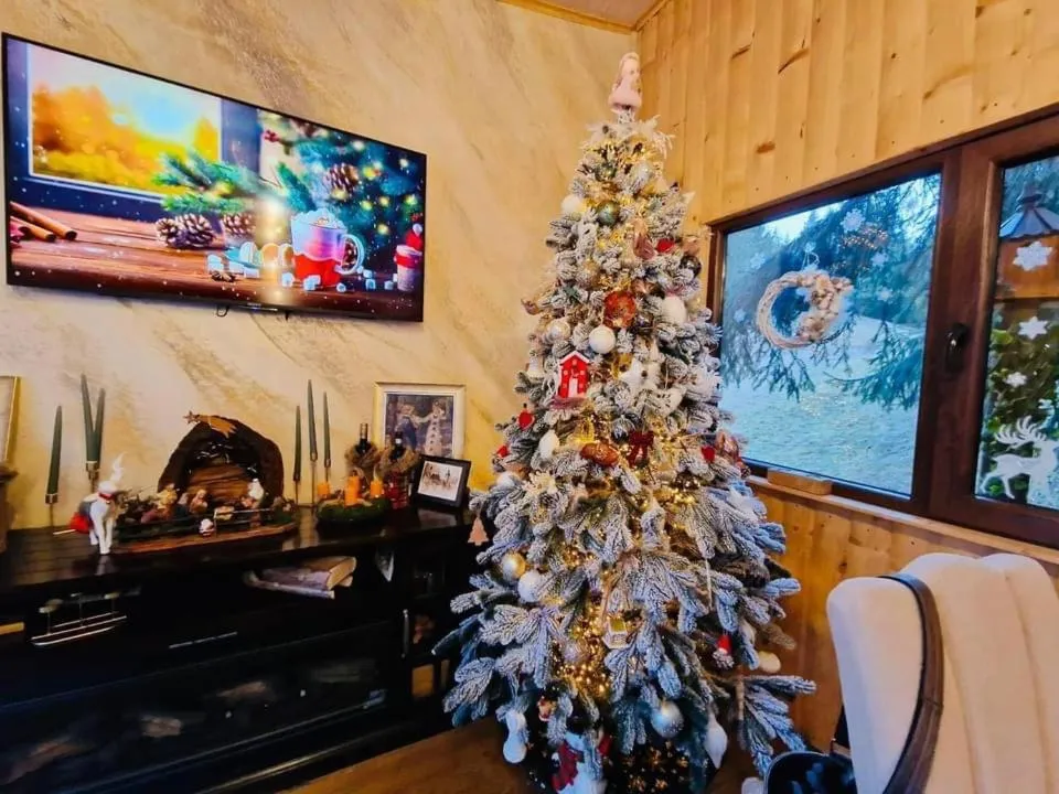 Image 1 of Cabana Din Poienita