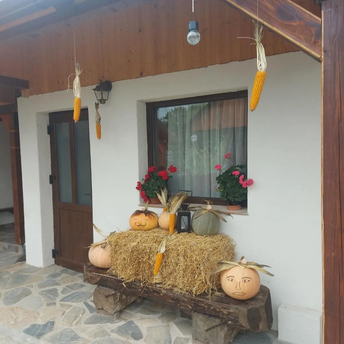 Image 6 of Cabana Lunca