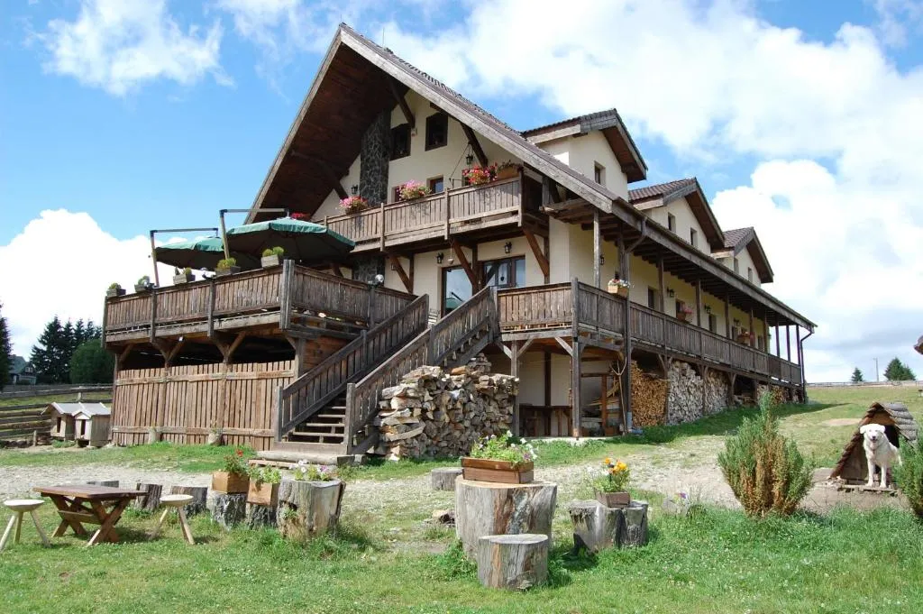 Image 1 of Cabana Moţilor