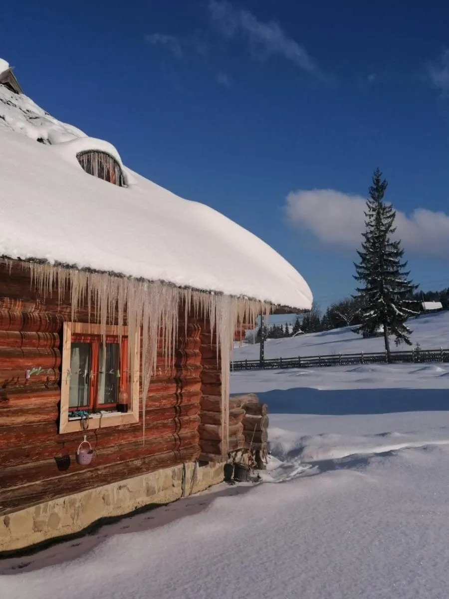Image 4 of Cabana Păstrăvului