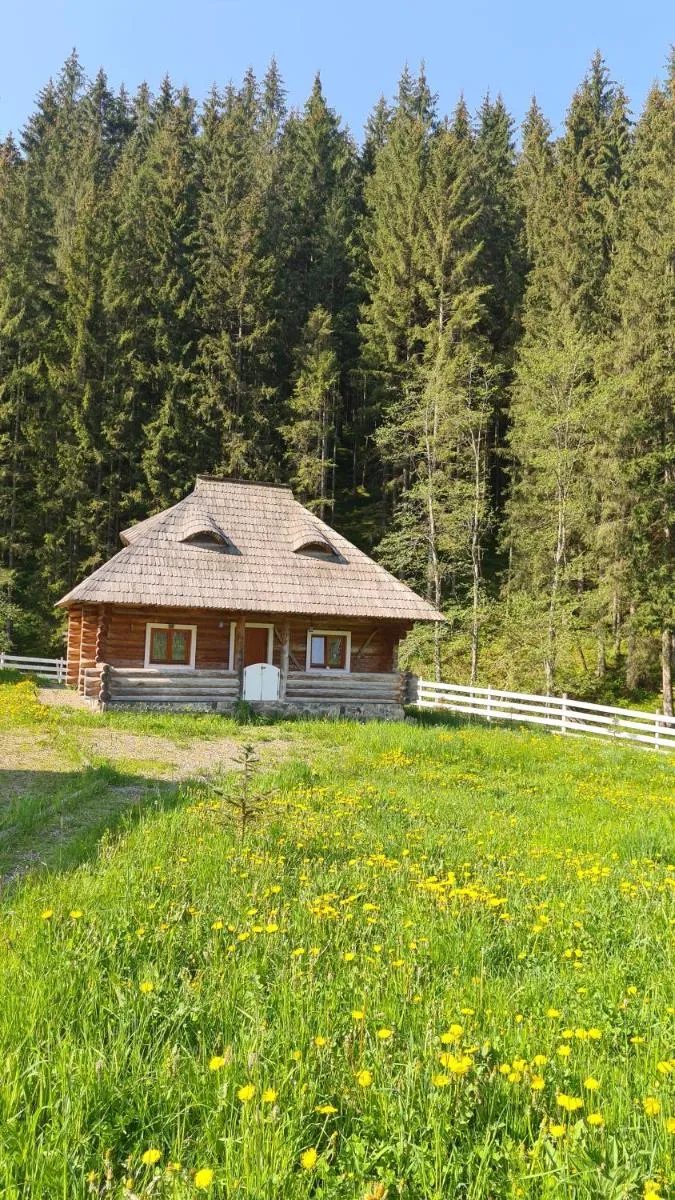 Image 2 of Cabana Păstrăvului