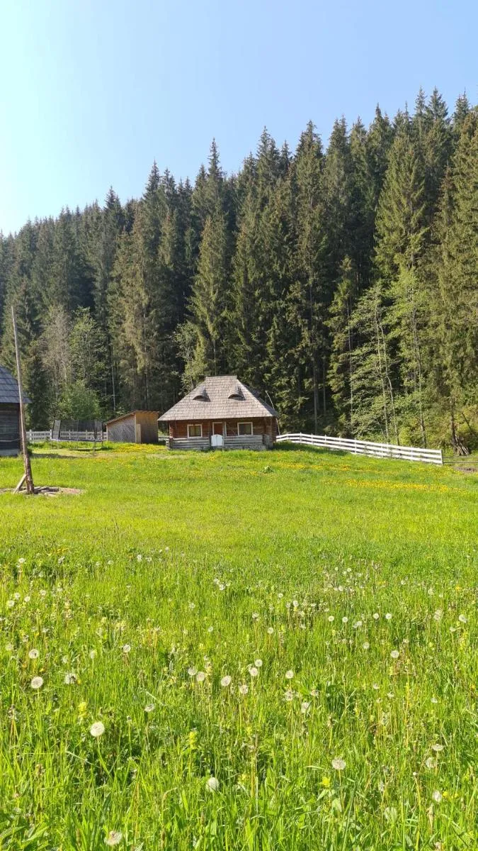Image 3 of Cabana Păstrăvului