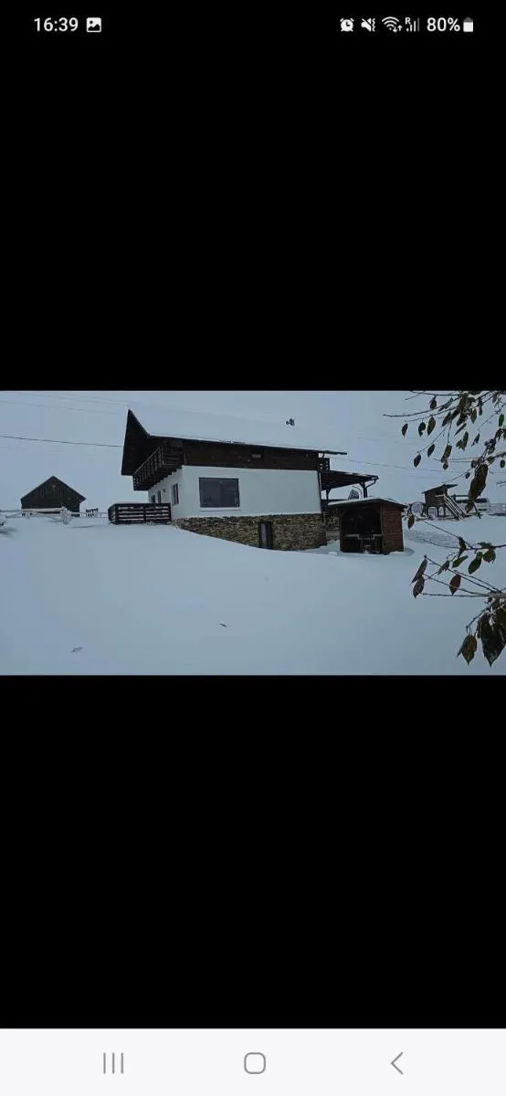 Image 4 of Cabana Stil