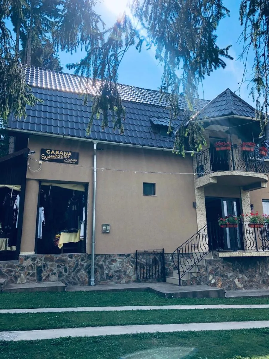 Image 4 of Cabana Suvenirurilor