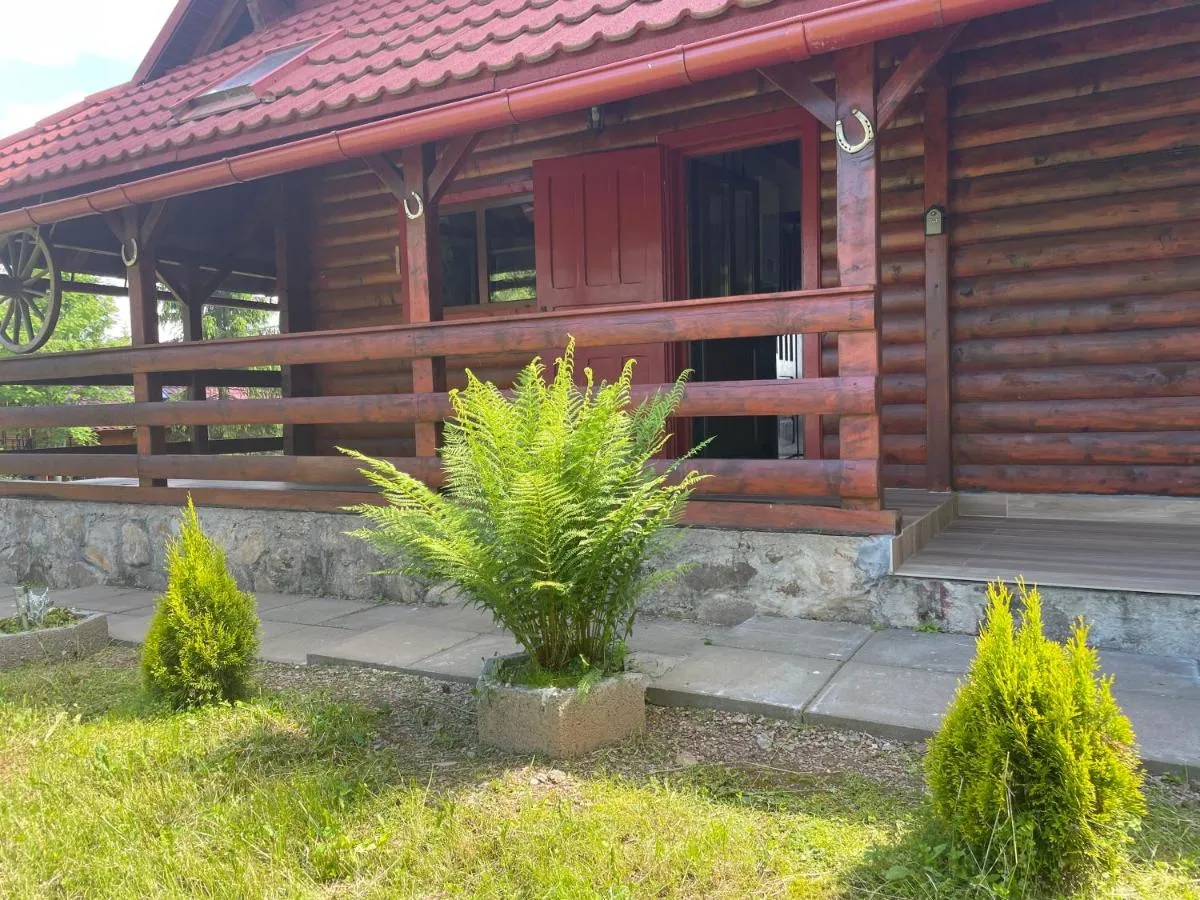 Image 7 of Cabana Transilvania