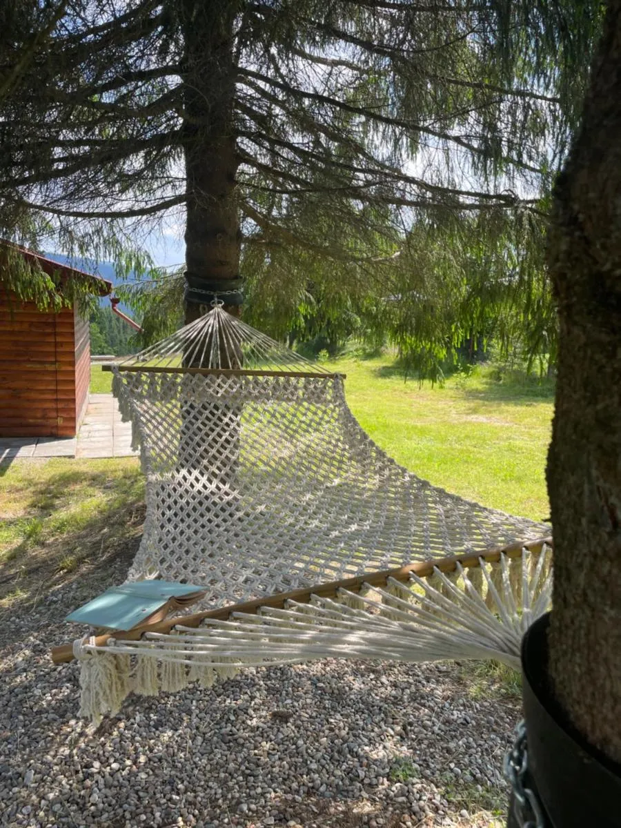 Image 6 of Cabana Transilvania